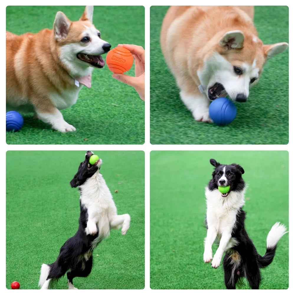 Bouncy Rubber Dog Ball - Chew & Training Toy