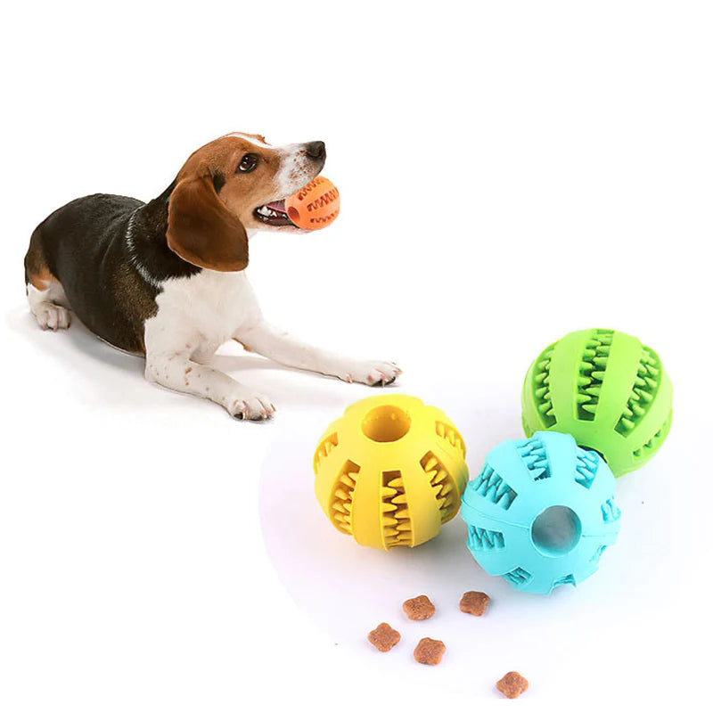 Interactive Rubber Dog Ball - 5cm/7cm