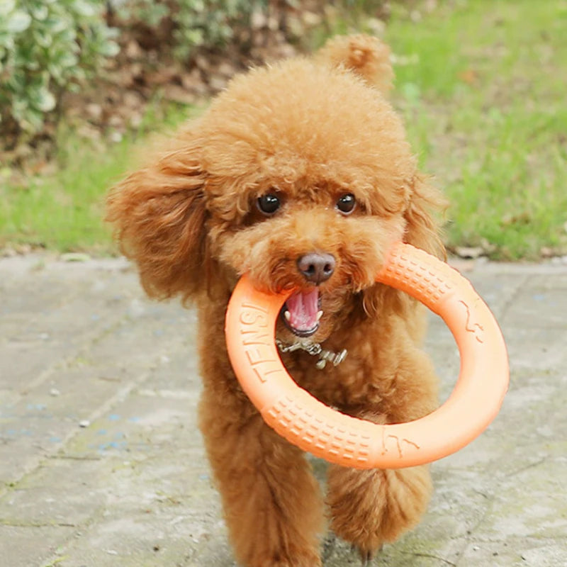 Flying Disk Dog Toy - Interactive & Durable