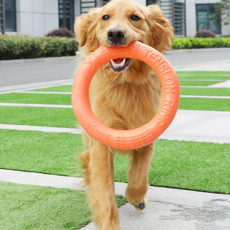 Flying Disk Dog Toy - Interactive & Durable