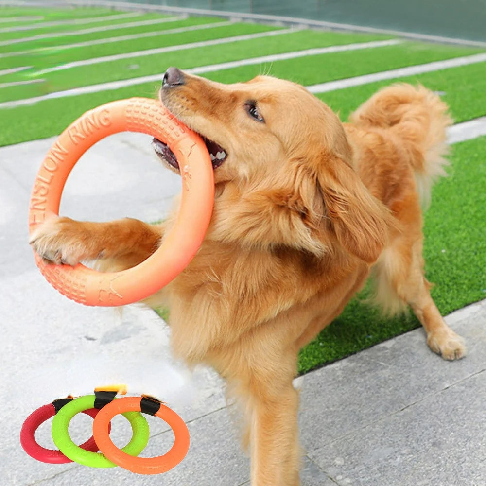 Flying Disk Dog Toy - Interactive & Durable