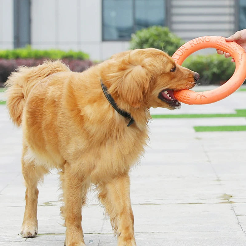 Flying Disk Dog Toy - Interactive & Durable