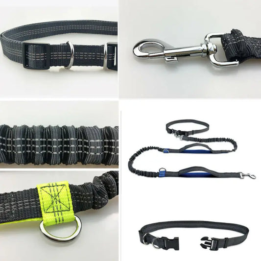 Reflective Hands-Free Dog Leash