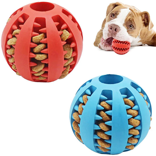 Interactive Rubber Dog Ball - 5cm/7cm